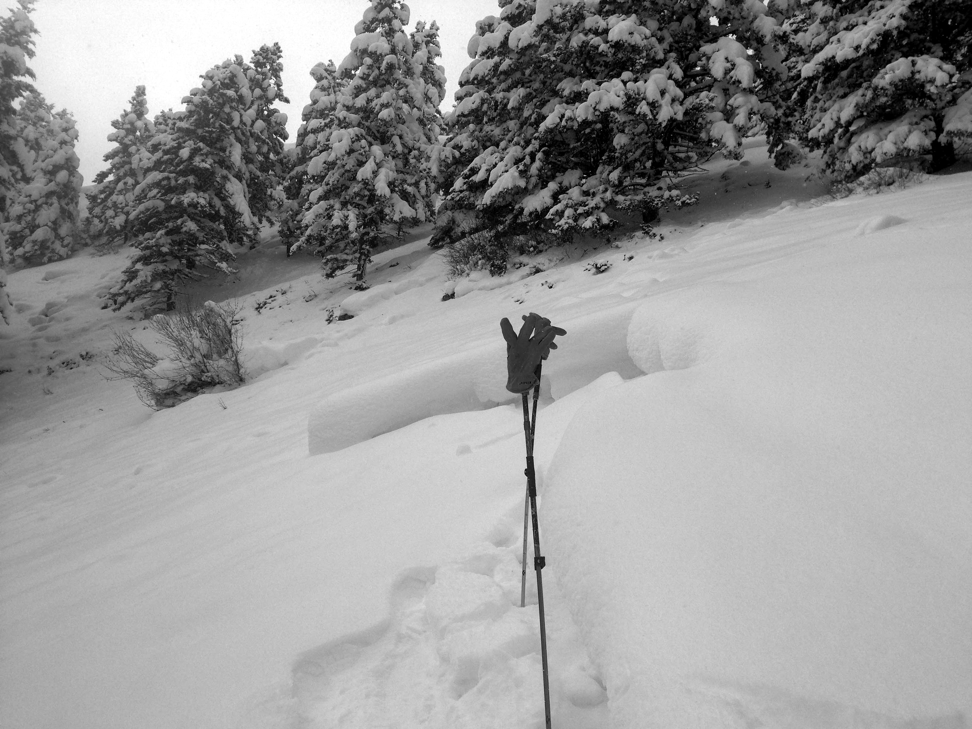 Avalanche Dudley Creek Avalanche Dudley Creek