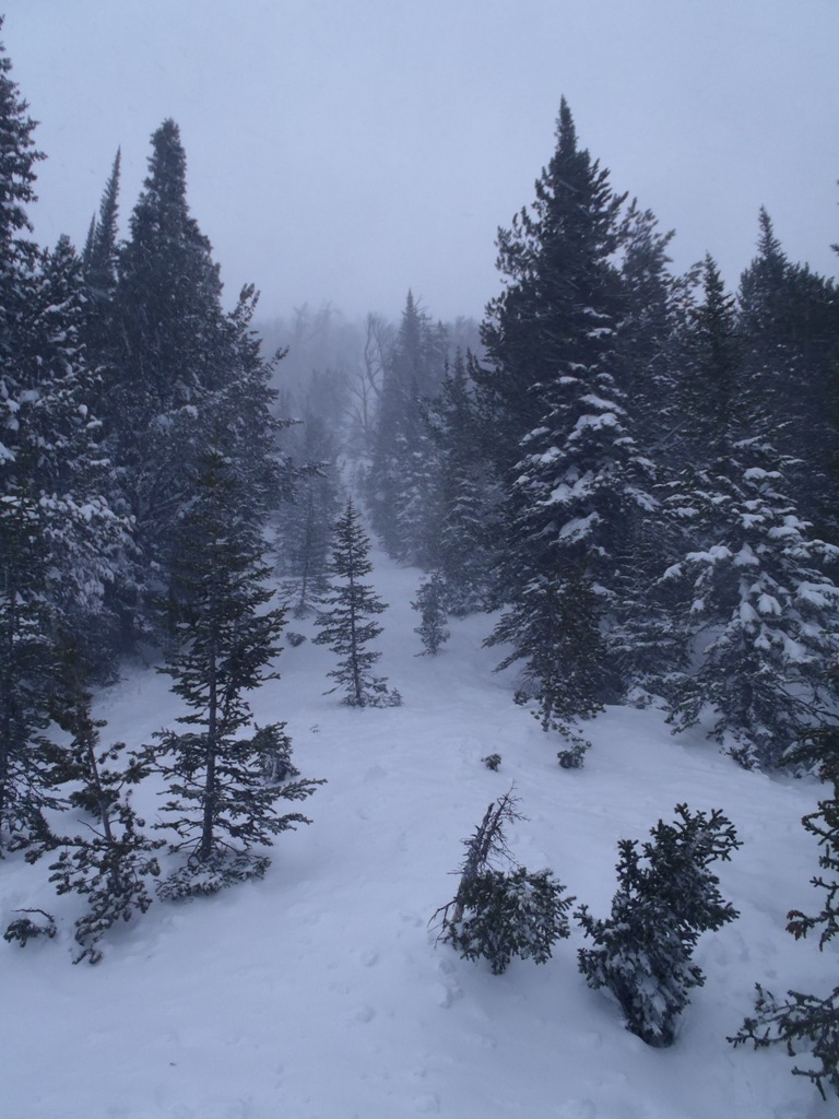 Miller Avalanche Path Miller Avalanche Path