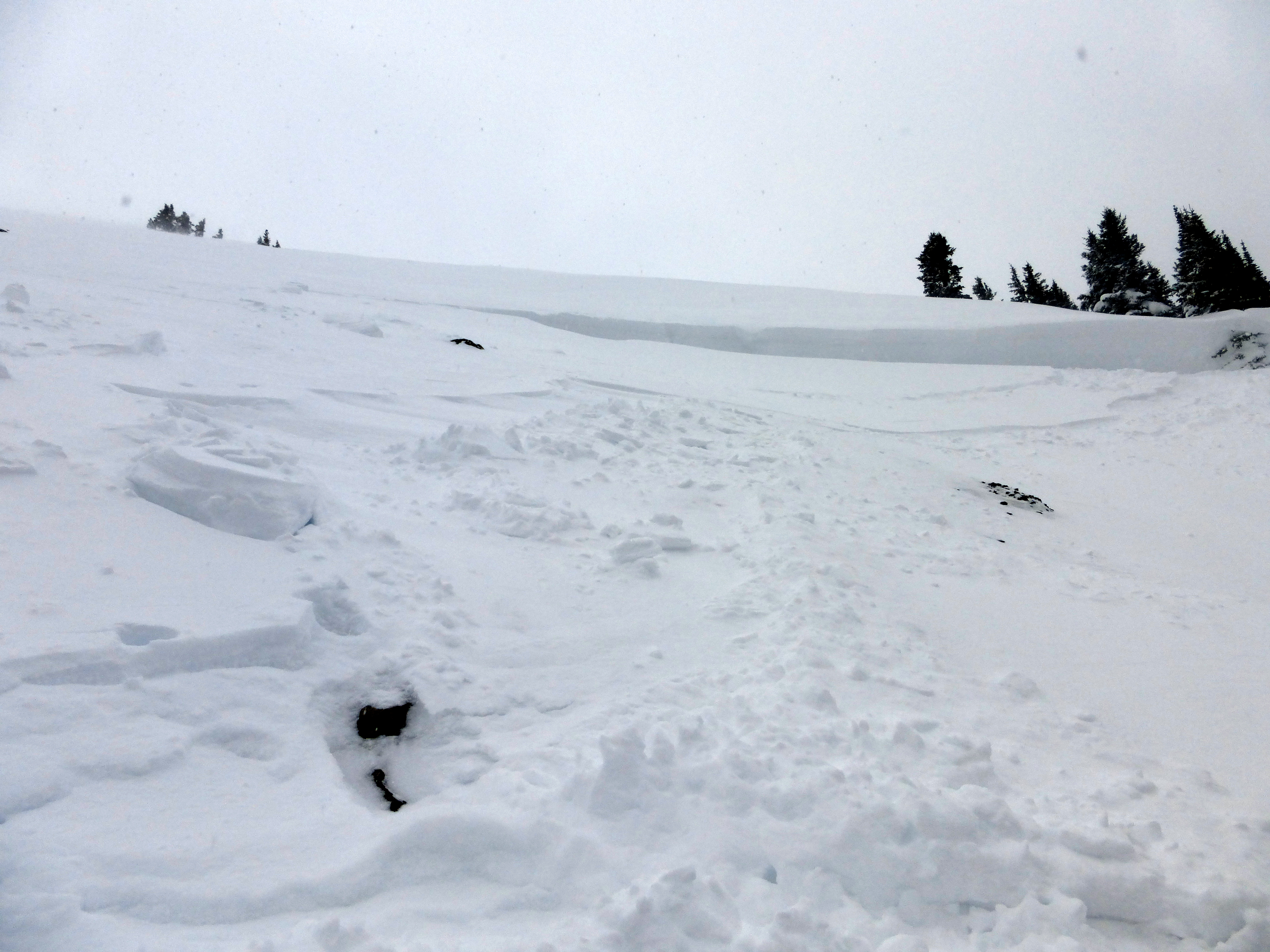 Woody Ridge Avalanche1 - Cooke City Woody Ridge Avalanche1 - Cooke City