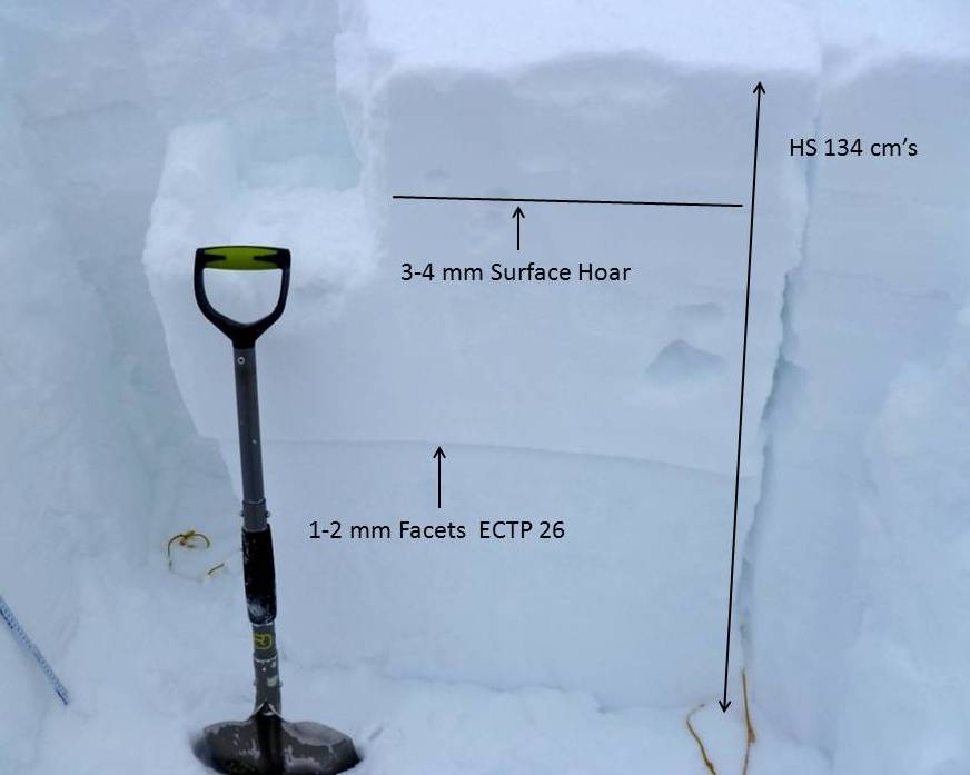 Yellow Mountain Snowpack North Facing - 2-17-13 Yellow Mountain Snowpack North Facing - 2-17-13