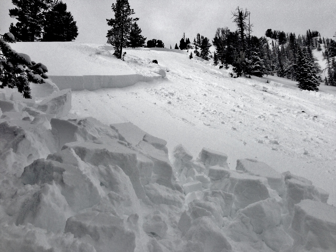 Hebgen Lake Avalanche - 3/1/14 Hebgen Lake Avalanche - 3/1/14