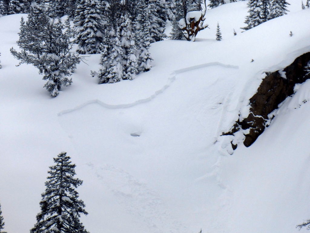 New Snow Instability - Cooke City New Snow Instability - Cooke City