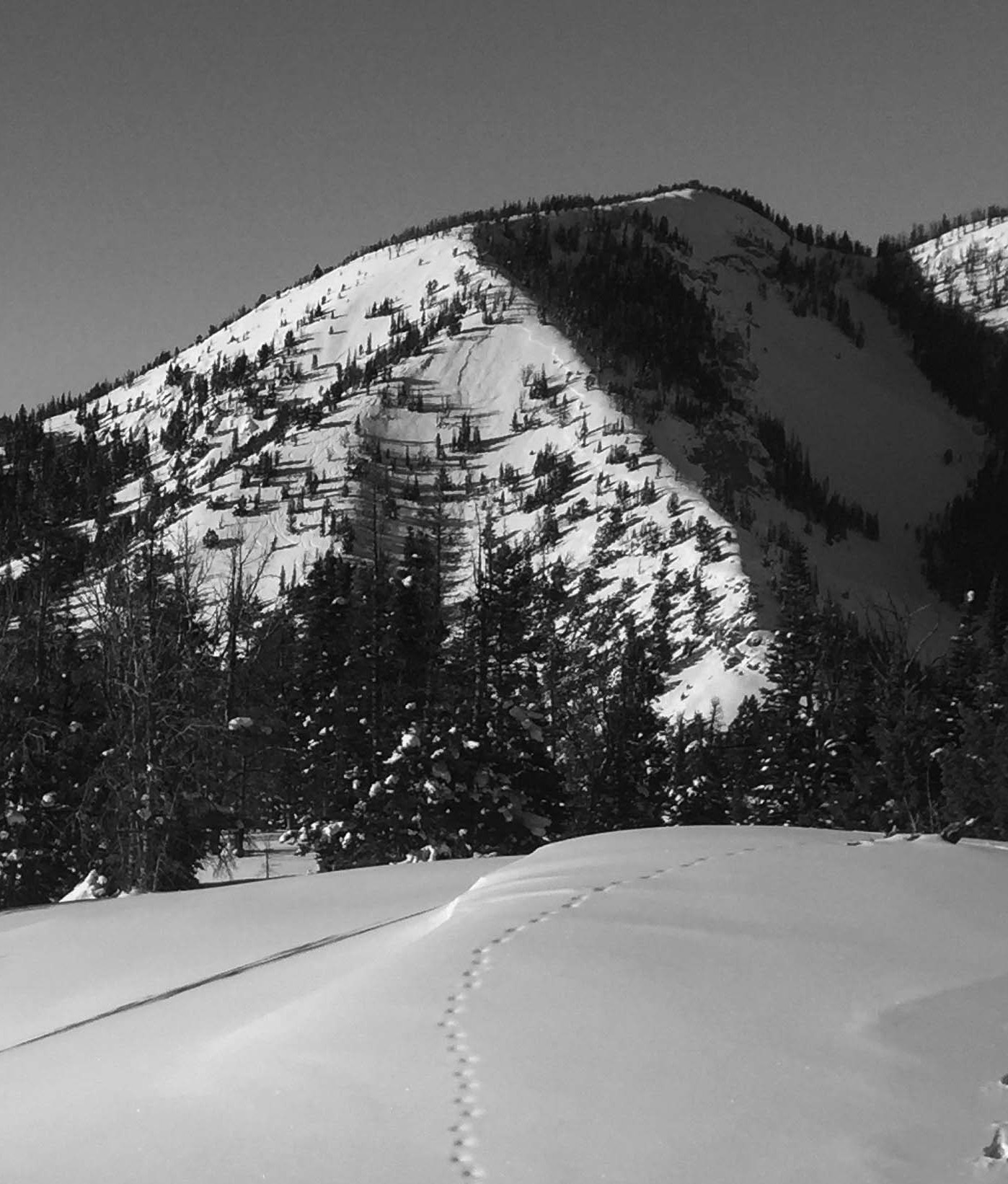 Yellow Mountain Avalanche Yellow Mountain Avalanche