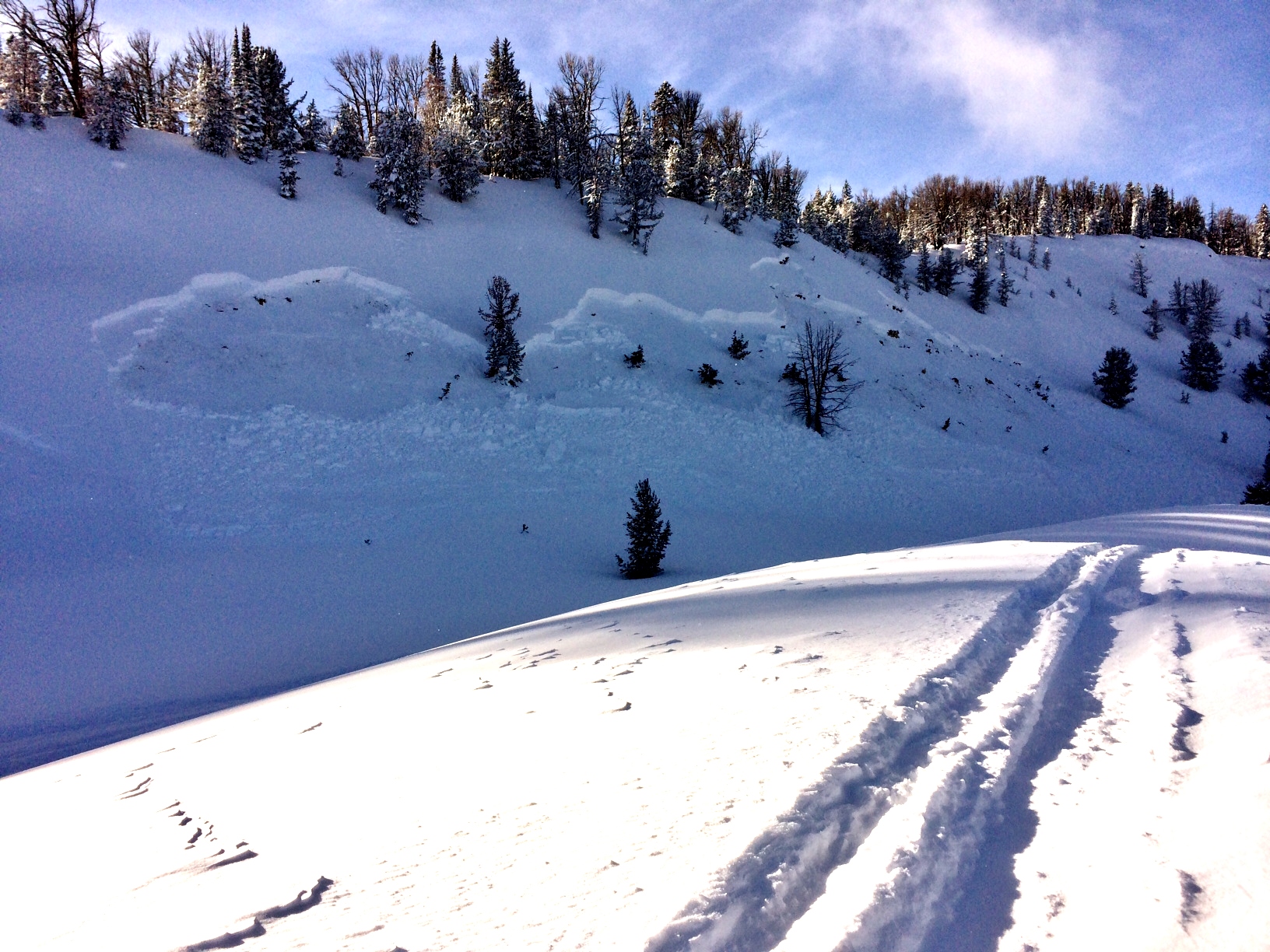 Buck Natural Avalanche Buck Natural Avalanche